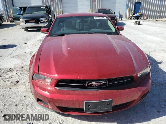 2010 Ford Mustang V6 with VIN 1ZVBP8AN0A5180837, listed as a Copart auction lot 49065685 with 150,494 mi miles and Salvage Title. Bid and sale history available at carsss.com. Image 5.