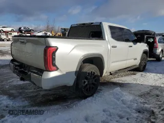 2022 Toyota Tundra 1794 Edition with VIN 5TFMA5DB8NX045547, listed as a Copart auction lot 42543985 with 39,256 mi miles and Clean title. Bid and sale history available at DreamBid. Image 3.