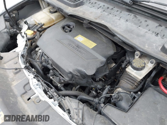 2014 Ford Escape SE with VIN 1FMCU0GX3EUB17202, listed as a IAAI auction lot 41995355 with 170,894 mi miles. Bid and sale history available at carsss.com. Image 6.