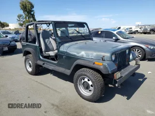 1994 Jeep Wrangler with VIN 1J4FY29S0RP422853, listed as a Copart auction lot 74611684 with 172,177 mi miles and Salvage Title. Bid and sale history available at carsss.com. Image 4.