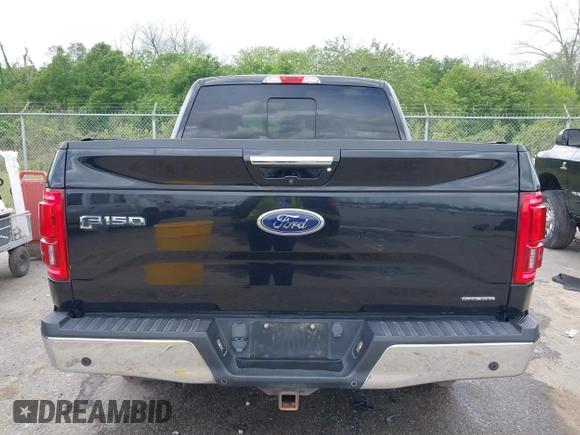 2015 Ford F-150 XL with VIN 1FTEW1CF3FKD74609, listed as a IAAI auction lot 41966627 with 145,839 mi miles. Bid and sale history available at carsss.com. Image 16.