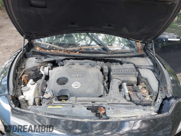 2013 Nissan Maxima S with VIN 1N4AA5AP0DC828375, listed as a IAAI auction lot 42215336 with 210,398 mi miles and . Bid and sale history available at DreamBid. Image 10.
