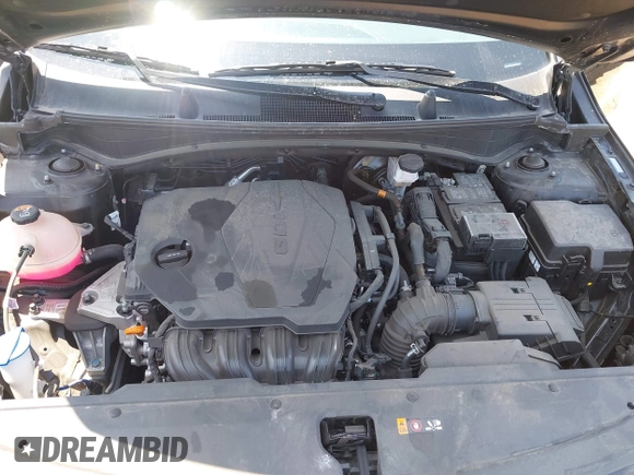 2024 Kia Sportage EX with VIN 5XYK33DF8RG209901, listed as a IAAI auction lot 42378868 with 35,740 mi miles and . Bid and sale history available at DreamBid. Image 10.