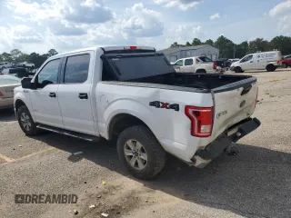 2017 Ford F-150 XL with VIN 1FTEW1EP0HKD01173, listed as a Copart auction lot 65909855 with 218,248 mi miles and Clean title. Bid and sale history available at DreamBid. Image 2.