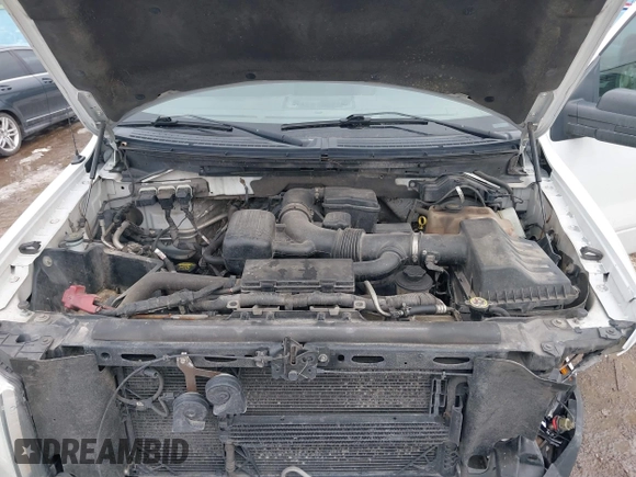 2010 Ford F-150 XL with VIN 1FTFX1EV0AKE32058, listed as a IAAI auction lot 41655246 with 185,671 mi miles and . Bid and sale history available at DreamBid. Image 10.