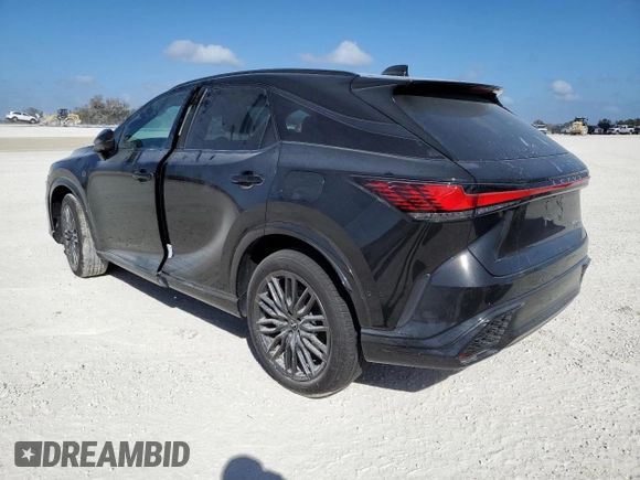 2024 Lexus RX with VIN 2T2BCMEA1RC014397, listed as a Copart auction lot 73970934 with Not Provided miles and Salvage Title. Bid and sale history available at carsss.com. Image 2.