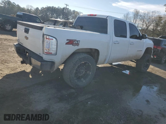 2009 Chevrolet Silverado 1500 LT with VIN 3GCEK23329G215535, listed as a Copart auction lot 46051705 with 173,940 mi miles and Salvage Title. Bid and sale history available at DreamBid. Image 3.