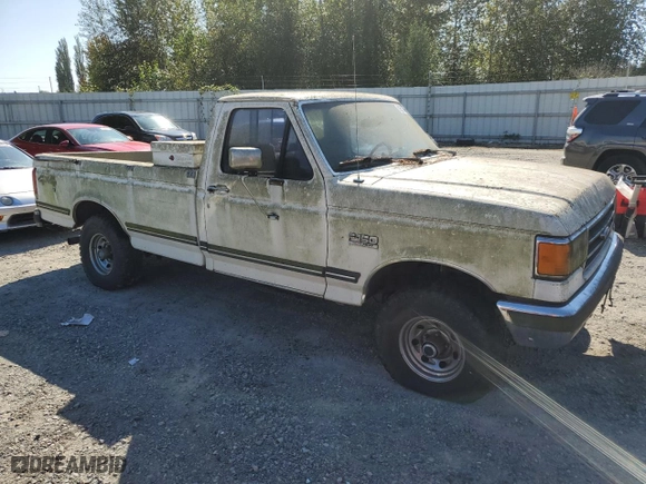 1991 Ford F-150 Special with VIN 1FTEF14N4MNA24830, listed as a Copart auction lot 69535994 with 888090 miles and Clean Title. Bid and sale history available at carsss.com. Image 4.