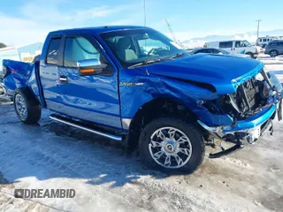 2011 Ford F-150 XL with VIN 1FTFX1EF5BFB27058, listed as a IAAI auction lot 41313053 with 125,225 mi miles. Bid and sale history available at carsss.com. Image 1.