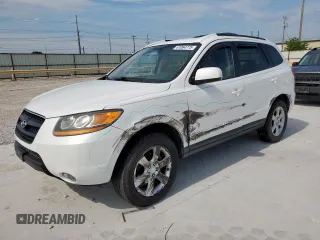 2009 Hyundai Santa Fe Limited with VIN 5NMSH13E59H256842, listed as a Copart auction lot 61064775 with 124,130 mi miles and Salvage title. Bid and sale history available at DreamBid. Image 1.