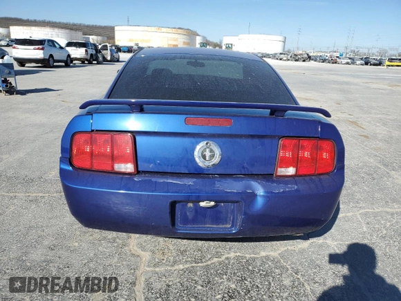 2005 Ford Mustang Deluxe with VIN 1ZVFT80N455129183, listed as a Copart auction lot 48500905 with 162,440 mi miles and Salvage Title. Bid and sale history available at carsss.com. Image 6.