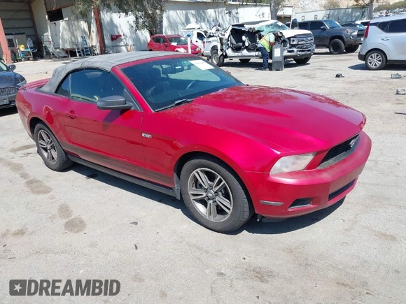 2011 Ford Mustang V6 with VIN 1ZVBP8EM6B5108804, listed as a IAAI auction lot 41966445 with 239,146 mi miles and . Bid and sale history available at DreamBid. Image 1.