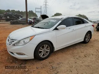 2013 Hyundai Sonata GLS with VIN 5NPEB4AC5DH629505, listed as a Copart auction lot 54120795 with 113,901 mi miles and Salvage Title. Bid and sale history available at carsss.com. Image 1.