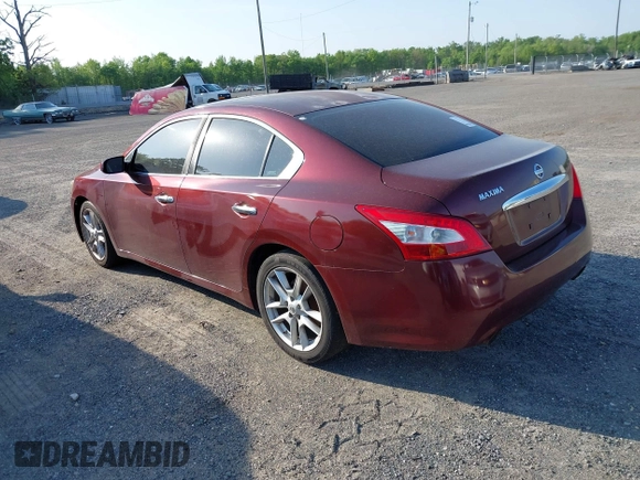 2009 Nissan Maxima SV with VIN 1N4AA51E19C841383, listed as a IAAI auction lot 42132774 with Not Provided miles and . Bid and sale history available at DreamBid. Image 3.