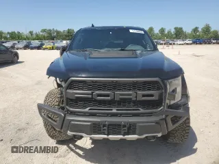 2019 Ford F-150 Raptor with VIN 1FTFW1RG0KFB43691, listed as a Copart auction lot 51160605 with 174,785 mi miles and Salvage Title. Bid and sale history available at carsss.com. Image 5.