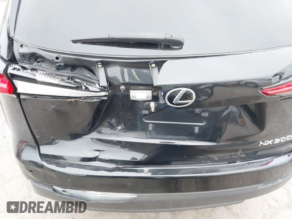 2019 Lexus NX 300 with VIN JTJYARBZXK2131585, listed as a IAAI auction lot 42358441 with 88,804 mi miles and . Bid and sale history available at DreamBid. Image 6.