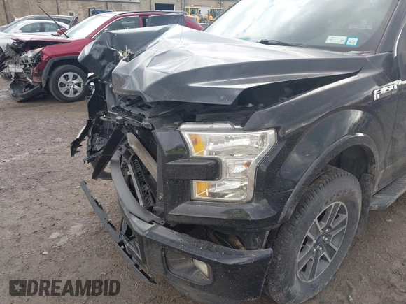 2016 Ford F-150 XLT with VIN 1FTFX1EF5GFC08651, listed as a IAAI auction lot 41898070 with 175,306 mi miles and . Bid and sale history available at carsss.com. Image 19.