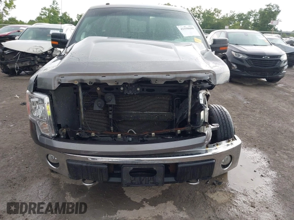 2010 Ford F-150 XL with VIN 1FTEX1E83AFD64062, listed as a IAAI auction lot 42550600 with 135,059 mi miles and . Bid and sale history available at DreamBid. Image 6.