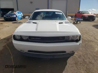 2013 Dodge Challenger R/T with VIN 2C3CDYBT3DH535790, listed as a Copart auction lot 48529355 with 250,497 mi miles and Salvage Title. Bid and sale history available at carsss.com. Image 5.
