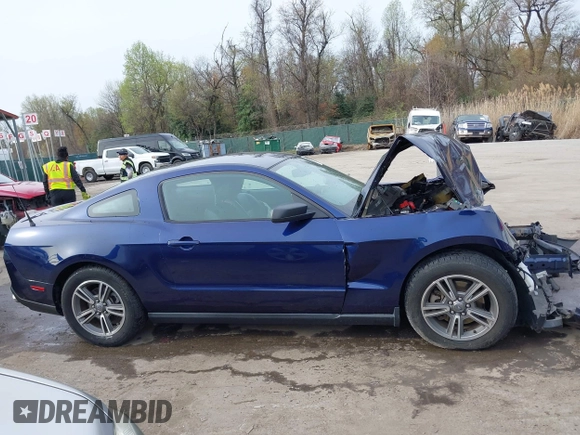 2012 Ford Mustang Premium with VIN 1ZVBP8AM5C5274805, listed as a IAAI auction lot 41934449 with 51,951 mi miles and . Bid and sale history available at DreamBid. Image 13.