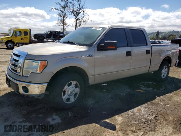 2010 Ford F-150 XL with VIN 1FTEW1C87AKA25821, listed as a Copart auction lot 49008285 with Not Provided miles and Salvage Title. Bid and sale history available at carsss.com. Image 1.