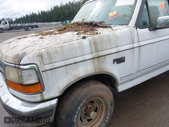 1995 Ford F-150 with VIN 1FTEF14H4SLA77725, listed as a IAAI auction lot 41782420 with 234,976 mi miles. Bid and sale history available at carsss.com. Image 6.