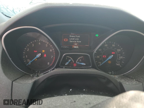 2017 Ford Focus S z VIN 1FADP3E24HL282698, wystawiony jako Copart lot #51001325 z przebiegiem 112 325 mil mil oraz Szkoda całkowita • Salvage title. Historia ofert i sprzedaży dostępna na DreamBid. Obrazek 9.