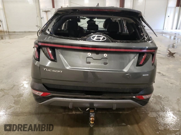 2022 Hyundai Tucson Limited with VIN 5NMJECAE1NH020573, listed as a Copart auction lot 53182945 with 108,289 mi miles and Salvage Title. Bid and sale history available at carsss.com. Image 6.