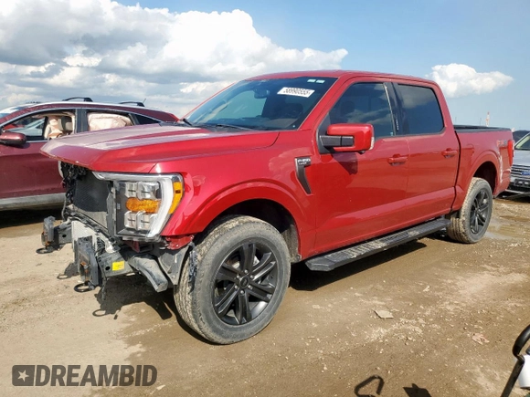 2022 Ford F-150 XL with VIN 1FTFW1E88NFA11166, listed as a Copart auction lot 58990555 with 49,445 mi miles and Clean title. Bid and sale history available at DreamBid. Image 1.