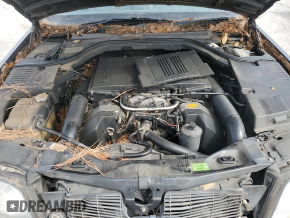 1995 Mercedes-Benz S with VIN WDBGA51E2SA215698, listed as a Copart auction lot 43001745 with Not Provided miles and Clean Title. Bid and sale history available at DreamBid. Image 11.