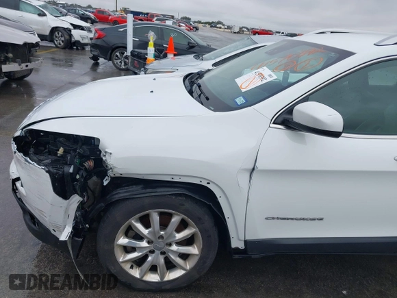 2014 Jeep Cherokee Limited with VIN 1C4PJLDS9EW225899, listed as a IAAI auction lot 41570392 with 226,226 mi miles. Bid and sale history available at carsss.com. Image 17.