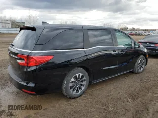 2024 Honda Odyssey EX-L with VIN 5FNRL6H69RB501705, listed as a Copart auction lot 53372625 with 29,603 mi miles and Clean Title. Bid and sale history available at DreamBid. Image 3.