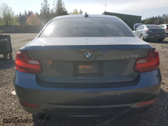 2014 BMW 2 Series 228i with VIN WBA1F5C55EV246282, listed as a Copart auction lot 53211745 with 87,106 mi miles and Salvage Title. Bid and sale history available at carsss.com. Image 6.