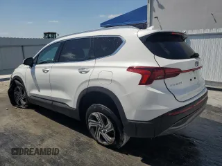 2023 Hyundai Santa Fe SEL with VIN 5NMS2DAJ0PH626059, listed as a Copart auction lot 53644825 with 39,388 mi miles and Non Repairable. Bid and sale history available at DreamBid. Image 2.