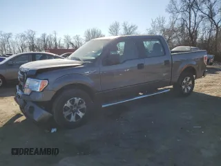 2014 Ford F-150 XL with VIN 1FTEW1CM1EFC27856, listed as a Copart auction lot 55913075 with 249,246 mi miles and Salvage title. Bid and sale history available at DreamBid. Image 1.