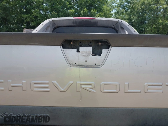 2005 Chevrolet Avalanche LS with VIN 3GNEC12ZX5G274802, listed as a IAAI auction lot 42597171 with Not provided miles and . Bid and sale history available at DreamBid. Image 6.