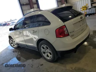 2013 Ford Edge SEL with VIN 2FMDK3J92DBB42232, listed as a Copart auction lot 49133005 with 204,875 mi miles and Salvage Title. Bid and sale history available at carsss.com. Image 2.