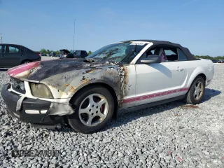 2008 Ford Mustang Deluxe z VIN 1ZVHT84N085133559, wystawiony jako Copart lot #57449265 z przebiegiem Nie podano mil oraz Szkoda całkowita • Salvage title. Historia ofert i sprzedaży dostępna na DreamBid. Obrazek 1.