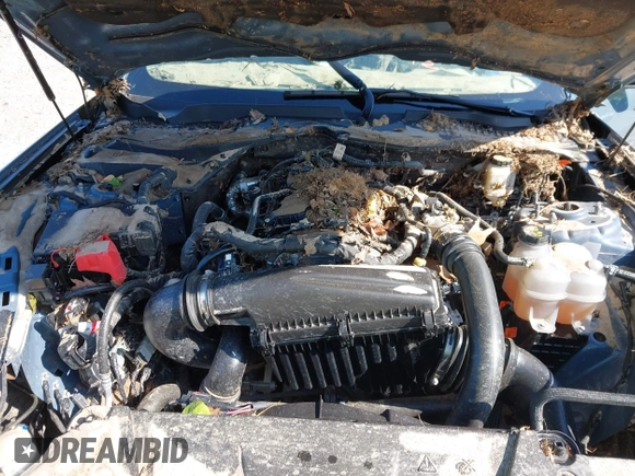 2024 Ford Mustang EcoBoost with VIN 1FA6P8TH7R5122432, listed as a IAAI auction lot 42333007 with Not provided miles and . Bid and sale history available at DreamBid. Image 10.