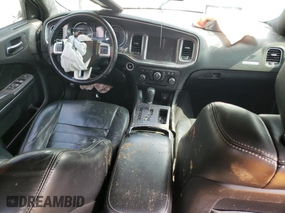 2014 Dodge Charger RT Plus with VIN 2C3CDXDT2EH322502, listed as a Copart auction lot 48766295 with 0 mi miles and Salvage Title. Bid and sale history available at carsss.com. Image 8.