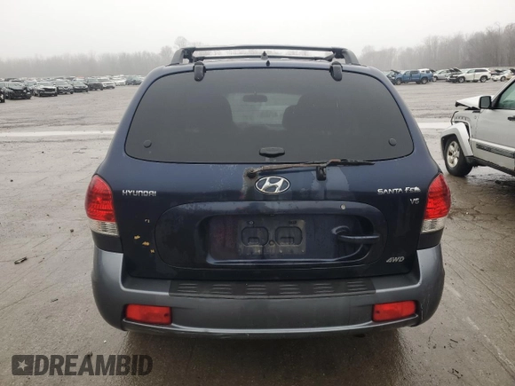 2005 Hyundai Santa Fe GLS with VIN KM8SC73D85U890802, listed as a Copart auction lot 80218154 with 230,793 mi miles and Salvage Title. Bid and sale history available at carsss.com. Image 6.
