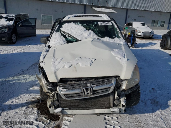 2003 Honda CR-V EX with VIN JHLRD78813C025879, listed as a Copart auction lot 45058965 with 0 mi miles and Salvage Title. Bid and sale history available at carsss.com. Image 5.