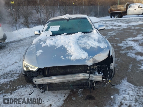 2015 Audi S5 Premium Plus with VIN WAUCGAFR8FA039309, listed as a IAAI auction lot 41363365 with 130,930 mi miles. Bid and sale history available at carsss.com. Image 13.