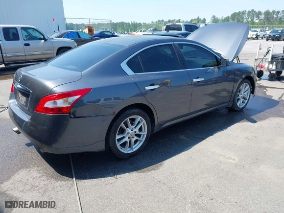 2009 Nissan Maxima 3.5 SV w/Sport Pkg with VIN 1N4AA51E69C821422, listed as a IAAI auction lot 41979055 with 294,317 mi miles. Bid and sale history available at carsss.com. Image 4.