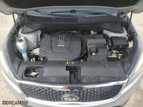 2017 Kia Sorento LX V6 with VIN 5XYPG4A54HG224325, listed as a Copart auction lot 51541545 with 222,222 mi miles and Clean Title. Bid and sale history available at carsss.com. Image 12.