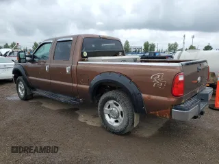2011 Ford F-250 XL with VIN 1FT7W2B69BEC99908, listed as a Copart auction lot 61919585 with 410,259 mi miles and Salvage title. Bid and sale history available at DreamBid. Image 2.