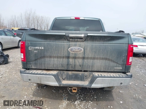 2015 Ford F-150 XLT with VIN 1FTEW1EF3FFA72064, listed as a IAAI auction lot 41888490 with 112,195 mi miles and . Bid and sale history available at DreamBid. Image 17.