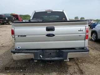 2009 Ford F-150 XL with VIN 1FTRW12859FA07325, listed as a Copart auction lot 59174215 with 242,328 mi miles and Salvage title. Bid and sale history available at DreamBid. Image 6.