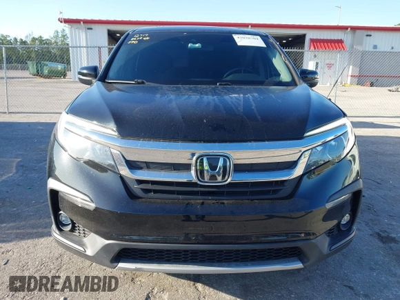 2021 Honda Pilot EX-L with VIN 5FNYF5H55MB044677, listed as a IAAI auction lot 42038704 with 38,684 mi miles and . Bid and sale history available at carsss.com. Image 13.
