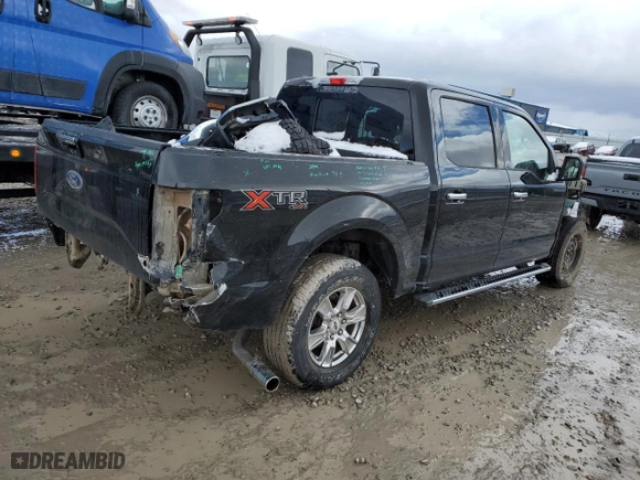 2016 Ford F-150 XLT with VIN 1FTEW1EF9GFC77339, listed as a Copart auction lot 49660245 with 101,062 mi miles and Salvage Title. Bid and sale history available at carsss.com. Image 3.